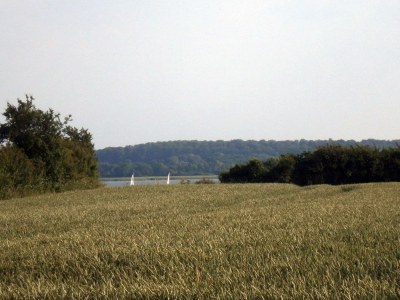 Holiday house Lindhus - Outdoor photo 10