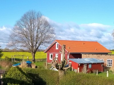 Holiday house Lindhus - Outdoor photo 13