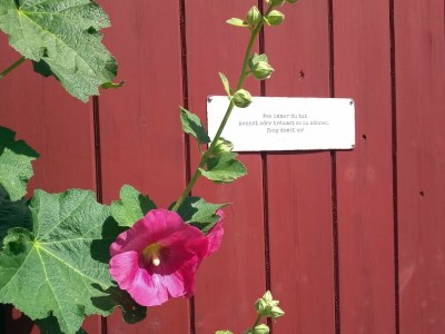 Holiday house Lindhus - Outdoor photo 16