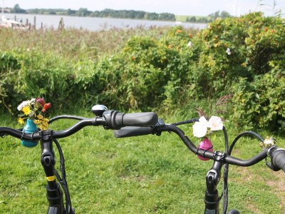 Holiday house Lindhus - Environment photo 39