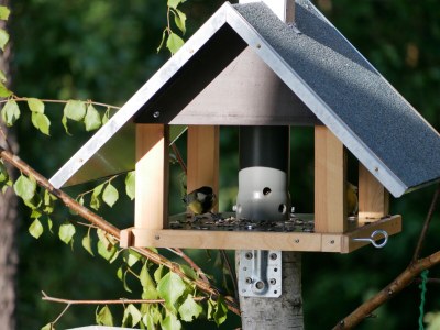 Holiday house Stressless Stressfrei - Outdoor photo 6