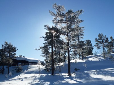 Holiday house Stressless Stressfrei - Outdoor photo 8