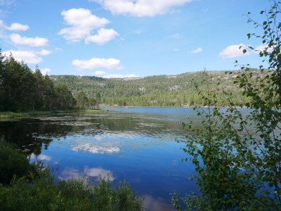 Holiday house Stressless Stressfrei - Environment photo 23