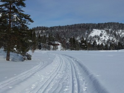 Holiday house Stressless Stressfrei - Environment photo 25