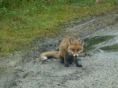Holiday house Stressless Stressfrei - Environment photo 31