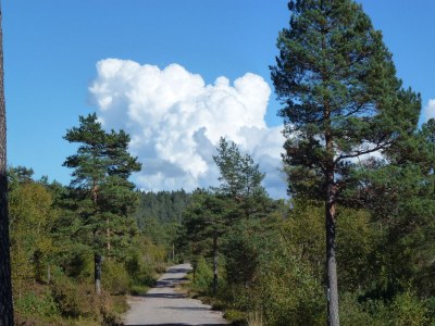 Holiday house Stressless Stressfrei - Environment photo 33