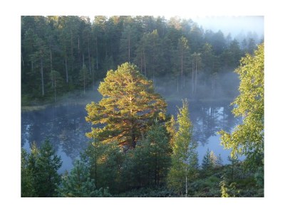 Holiday house Stressless Stressfrei - Environment photo 34