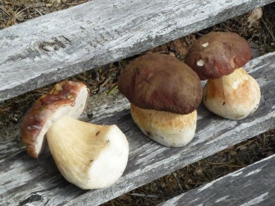 Holiday house Stressless Stressfrei - Environment photo 37