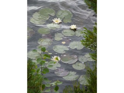 Holiday house Stressless Stressfrei - Environment photo 38