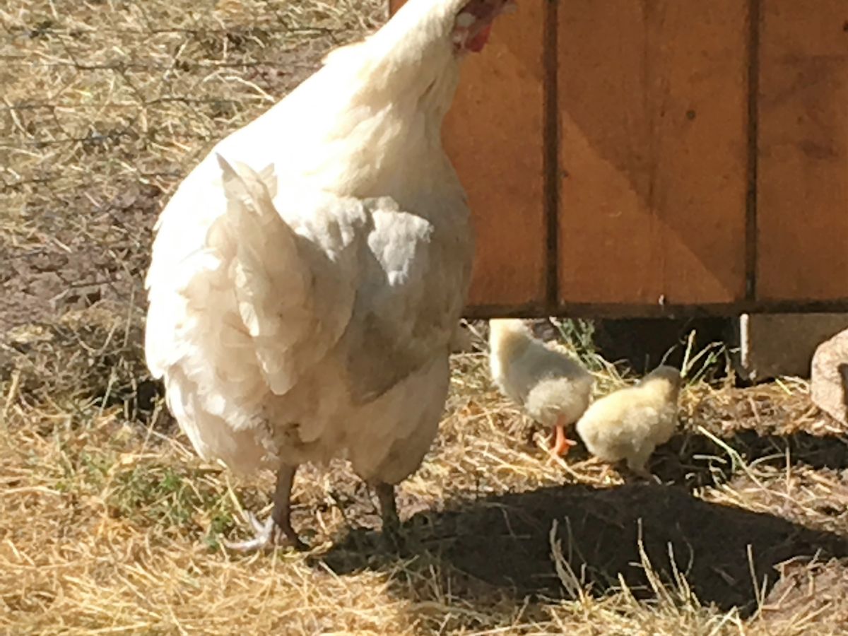 Holiday apartment Gisela and Eike's apartment - Outdoor photo 2