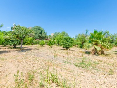 Finca Hort de Can Bou - Outdoor photo 29