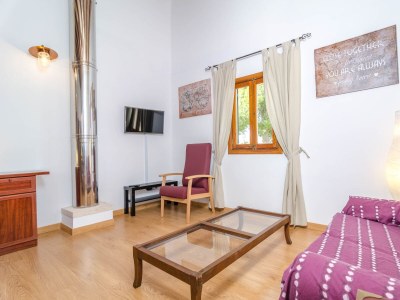 Finca Hort de Can Bou - Features photo 32