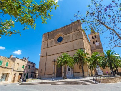 Finca Hort de Can Bou - Environment photo 44