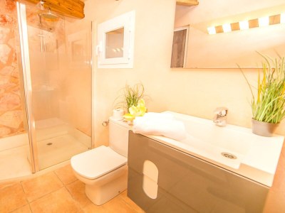 Villa Lounge Pool Villa Angela - WiFi - Jacuzzi - Close to Es Trenc Beach (1.4km) - Features photo 16