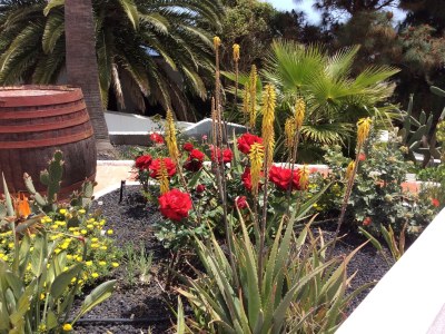 Holiday apartment Casa Sibylle. - Outdoor photo 5