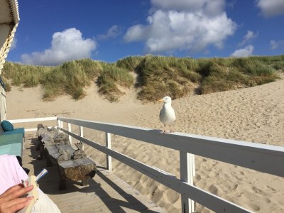 Holiday house Sonnenstrand II - Environment photo 18