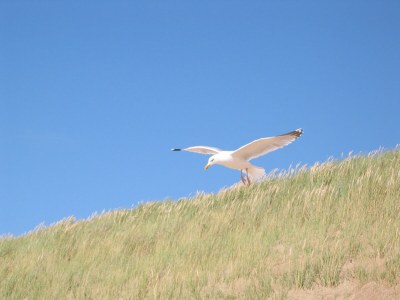 Holiday house Sonnenstrand II - Environment photo 21
