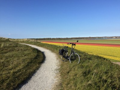 Holiday house Sonnenstrand II - Environment photo 23