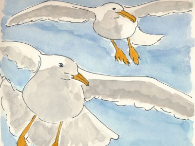 Holiday house Sonnenstrand II - Environment photo 32