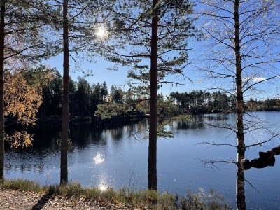 Holiday house Drewes, Soppstua (Pilzestube) - Environment photo 15