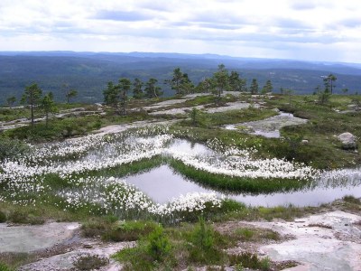 Holiday house Drewes, Soppstua (Pilzestube) - Environment photo 17