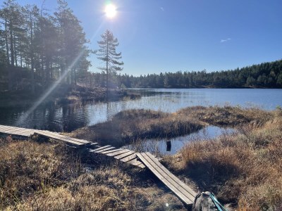 Holiday house Drewes, Soppstua (Pilzestube) - Environment photo 18