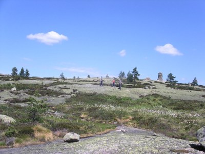 Holiday house Drewes, Soppstua (Pilzestube) - Environment photo 20