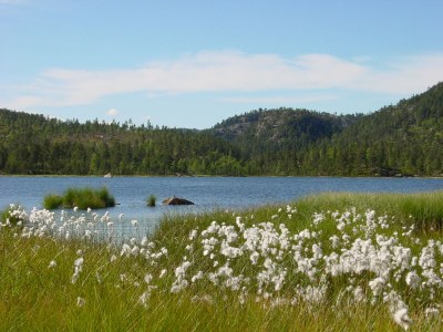 Holiday house Drewes, Soppstua (Pilzestube) - Environment photo 21