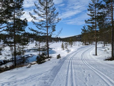 Holiday house Drewes, Soppstua (Pilzestube) - Environment photo 26