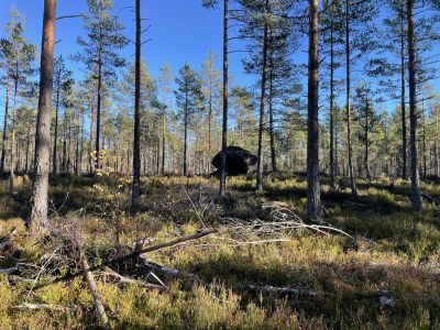 Holiday house Drewes, Soppstua (Pilzestube) - Environment photo 30
