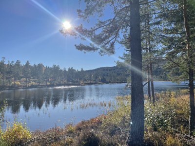 Holiday house Drewes, Soppstua (Pilzestube) - Environment photo 31