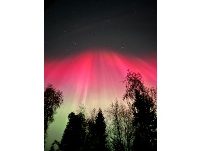 Holiday house Drewes, Soppstua (Pilzestube) - Environment photo 33