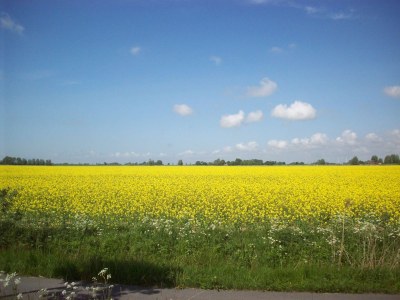 Holiday apartment Lille Leni Marie - Environment photo 24