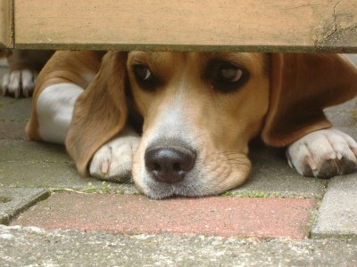 Holiday house Fischerhuus - Outdoor photo 6