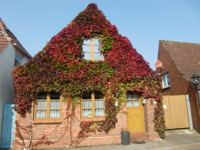 Holiday house Fischerhuus - Outdoor photo 7