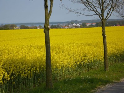 Holiday house Strandquartier - Environment photo 20