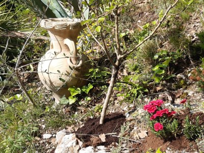 Villa Leandra - Features photo 24