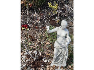 Villa Leandra - Features photo 26