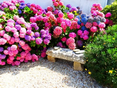 Holiday house Maison Dodo - Outdoor photo 9