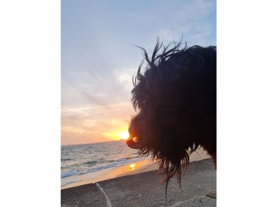 Holiday house Maison Dodo - Outdoor photo 12