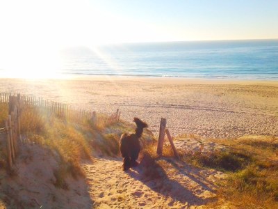 Holiday house Maison Dodo - Environment photo 25