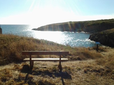 Holiday house Maison Dodo - Environment photo 32