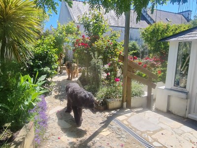 Holiday house Maison Dodo - Environment photo 40