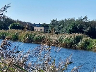 Holiday apartment Petten, close to the beach in Petten - Holiday apartment