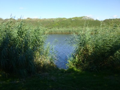 Holiday apartment Petten, close to the beach - Features photo 15