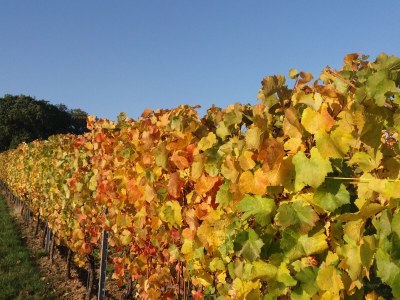 Holiday apartment Tedesco - Outdoor photo 6