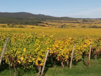 Holiday apartment Tedesco - Outdoor photo 7