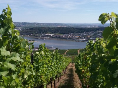 Holiday apartment Tedesco - Outdoor photo 8