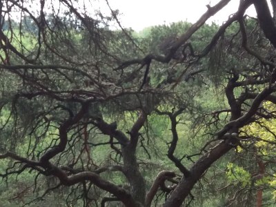 Holiday apartment Tedesco - Outdoor photo 10