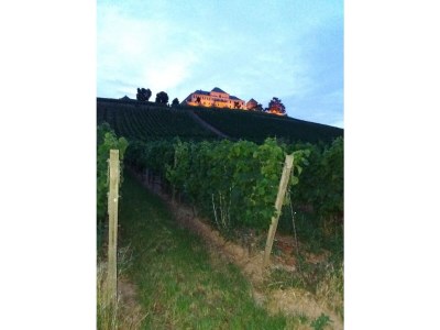 Holiday apartment Tedesco - Outdoor photo 14